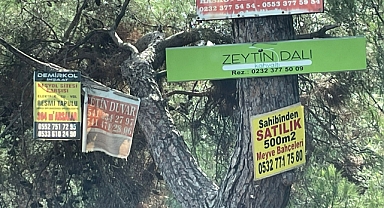 YAKAKÖY'DE KARANLIK İŞLER…!