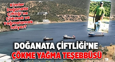 DOĞANATA ÇİFTLİĞİ’NE ÇÖKME ve YAĞMA TEŞEBBÜSÜ