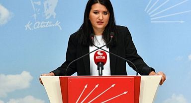 CHP'li Gökçen: