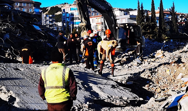 BUCA BELEDİYESİ VETERİNERLERİ DEPREM BÖLGESİNDE