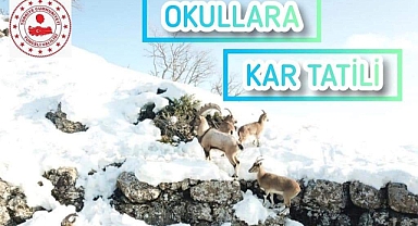 TUNCELİ'DE OKULLARA KAR TATİLİ
