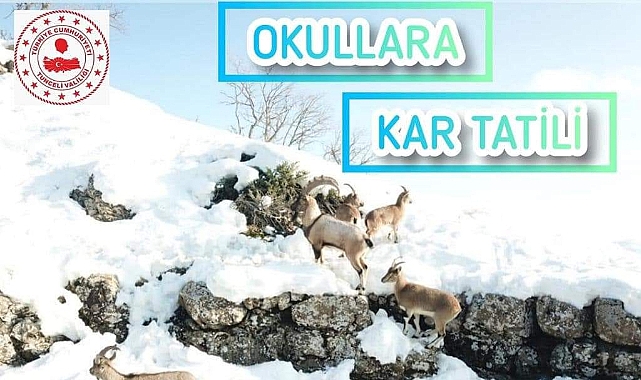 TUNCELİ'DE OKULLARA KAR TATİLİ