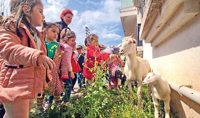 Birbirlerini iyileştiriyorlar