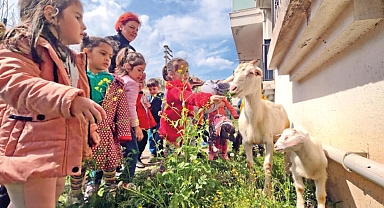 Birbirlerini iyileştiriyorlar