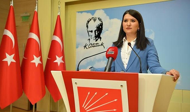 CHP Genel Başkan Yardımcısı Gökçen: 6284'ü uygulayacak ve bütüncül politikalarla destekleyeceğiz."