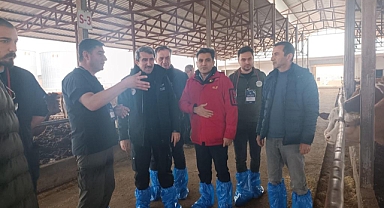 Dokuz Eylül Üniversitesi'nden deprem bölgesinde ŞAP uyarısı