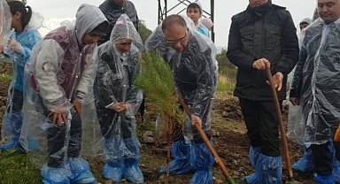 Foça'da Orman Haftası Kutlama ve Fidan Dikim Etkinliği