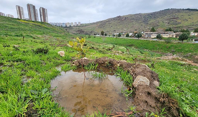 KARŞIYAKA KENT ORMANI’NDA ÖRNEK UYGULAMA