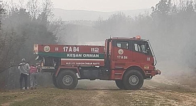Keşan'da orman yangını