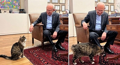 Kılıçdaroğlu Şero'ya söz verdi: İktidara gelince yaş mamayı lüks olmaktan çıkaracağım