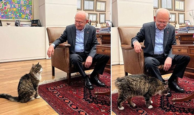 Kılıçdaroğlu Şero'ya söz verdi: İktidara gelince yaş mamayı lüks olmaktan çıkaracağım