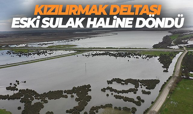 Kızılırmak Deltası eski sulak haline döndü
