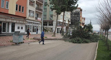 Kuvvetli fırtına o illeri vurdu... Ortalık savaş alanına döndü: Çatılar uçtu, ağaçlar devrildi!