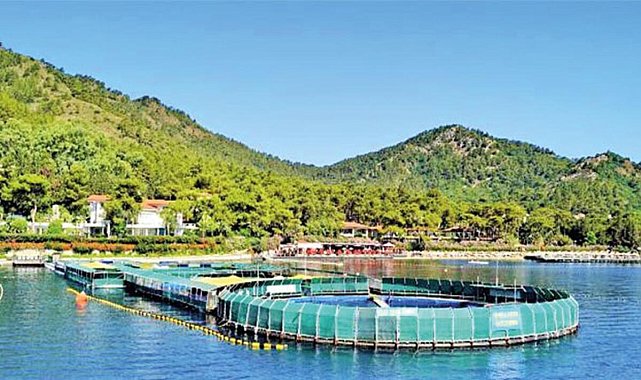 Ölüm merkezi sonunda kapandı