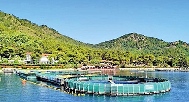 Ölüm merkezi sonunda kapandı