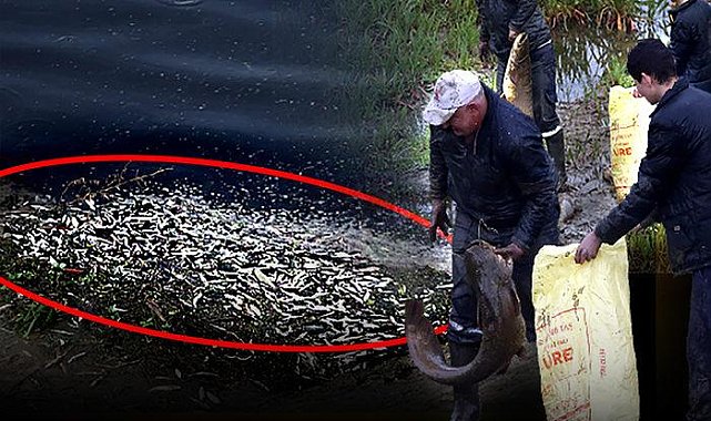 Ortaya çıkan manzara ürküttü! Çine Çayı'ndaki renk dönüşümüyle ilgili iddia harekete geçirdi: Toplu balık ölümlerinden sonra da devam ettiler...