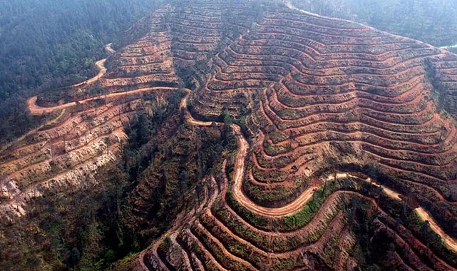 Örtü yangınları lodosla sıklaştı! 'Anız' uyarısı geldi