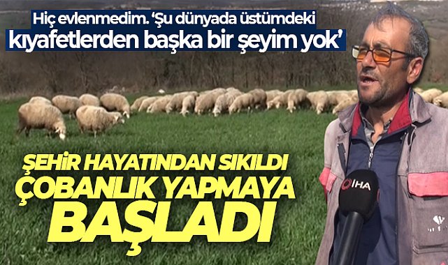 Şehir hayatından sıkıldı, çobanlık yapmaya başladı