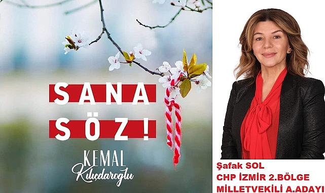 Sol 'Kadınları yalnızca seçmen olarak görmeyin'