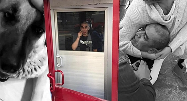 Ankara'da iğrenç olay! Köpeğe cinsel saldırıdan tutuklandı