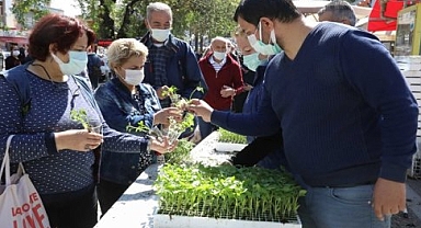 Buca Belediyesi kent içi tarımı yaygınlaştırıyor