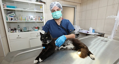 Gaziemir’de 21 bin 940 hayvana veteriner sağlık hizmeti