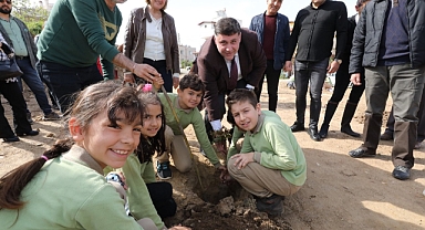 MENDERES SAKIZ AĞAÇLARIYLA SÜSLENECEK