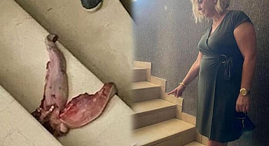 Profesörü 'dana dili' ile tehdit etmişti! Cezası belli oldu