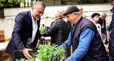 Bornova’da yerel üreticiye 500 bin fide