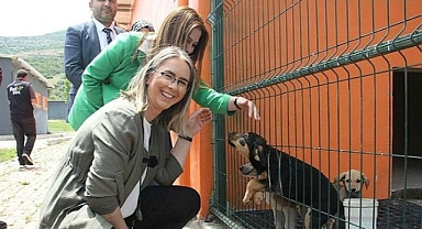 Ceyda Bölünmez Çankırı'dan Sokak Hayvanları İçin İzmir'e 2 Müjde