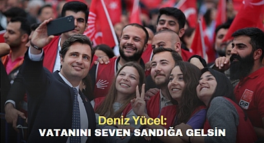 Deniz Yücel: Vatanını seven sandığa gelsin!