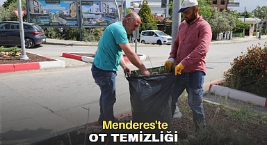 Menderes’te Ot Temizliği