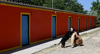 YENİLENEN EVCİL HAYVAN REHABİLİTASYON MERKEZİ KUŞADASI’NA ÇOK YAKIŞACAK