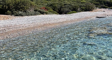 Bodrum Belediyesi Ada ve Koylarda Temizlik Yaptı
