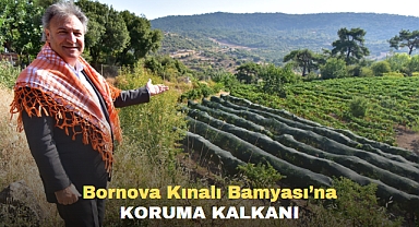 Bornova Kınalı Bamyası’na koruma kalkanı