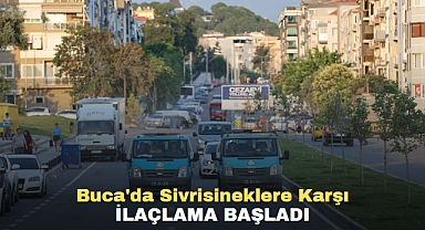 Buca'da Sivrisineklere Karşı İlaçlama Başladı