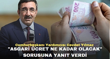 Cumhurbaşkanı Yardımcısı Cevdet Yılmaz