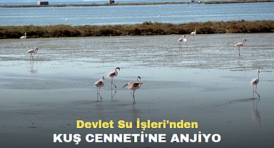 Devlet Su İşleri'nden Kuş Cenneti'ne anjiyo