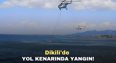 Dikili'de Yol Kenarında Yangın Çıktı