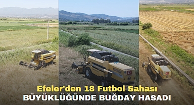 Efeler'den 18 Futbol Sahası Büyüklüğünde Buğday Hasadı