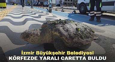 İzmir Büyükşehir Belediyesi Körfezde yaralı caretta buldu