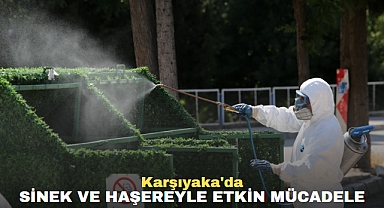 Karşıyaka'da sinek ve haşereyle etkin mücadele