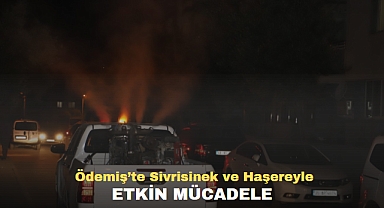 Ödemiş’te sivrisinek ve haşereyle etkin mücadele