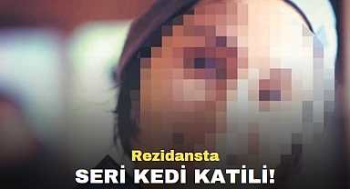 Rezidansta Seri Kedi Katili!