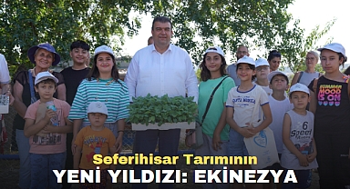 Seferihisar Tarımının Yeni Yıldızı: Ekinezya