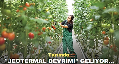 Tarımda