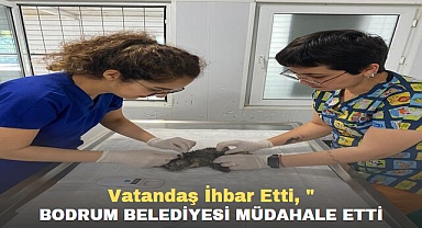 VATANDAŞ İHBAR ETTİ,BODRUM BELEDİYESİ MÜDAHALE ETTİ