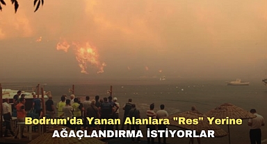 YANAN ALANLARA “RES” YERİNE AĞAÇLANDIRMA İSTİYORLAR