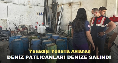 Yasadışı Yollarla Avlanan Deniz Patlıcanları Denize Salındı