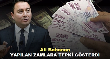 Ali Babacan Yapılan Zamlara Tepki Gösterdi